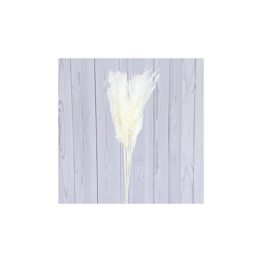 Dried & Bleached Flowers
